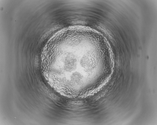 X0000087360353200705111650