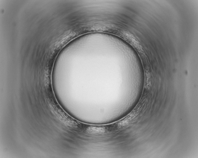 X0000087360354200705111650