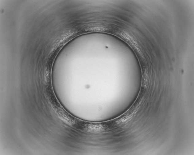 X0000087360355200705111650