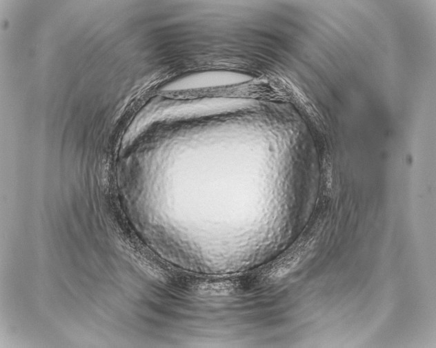 X0000087360357200705111651