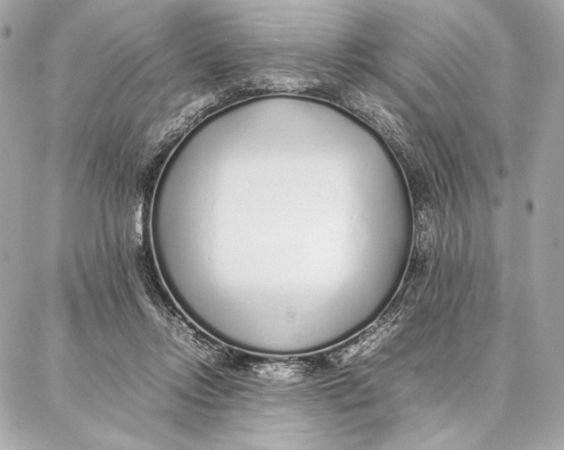 X0000087360358200705111651