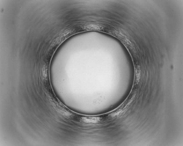 X0000087360359200705111651