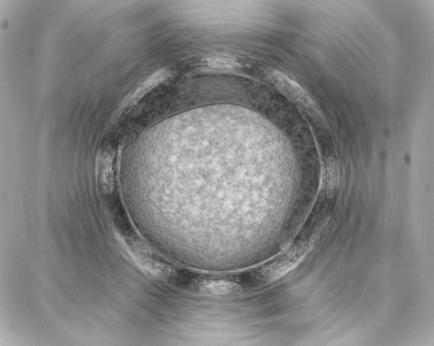 X0000087360360200705111651