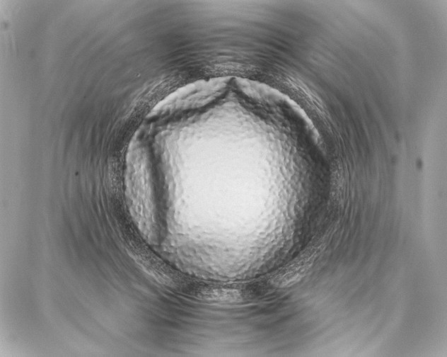 X0000087360361200705111651