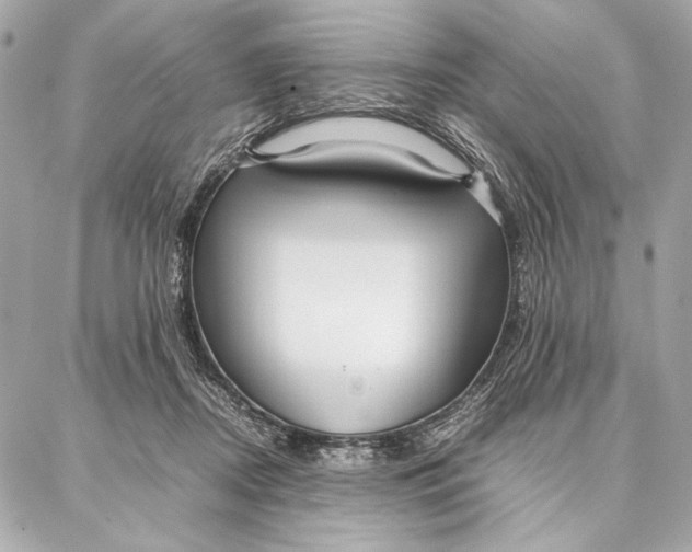 X0000087360362200705111651