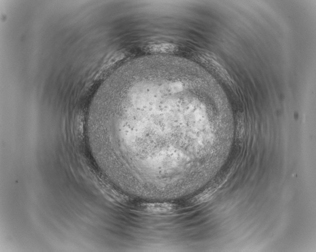 X0000087360363200705111651