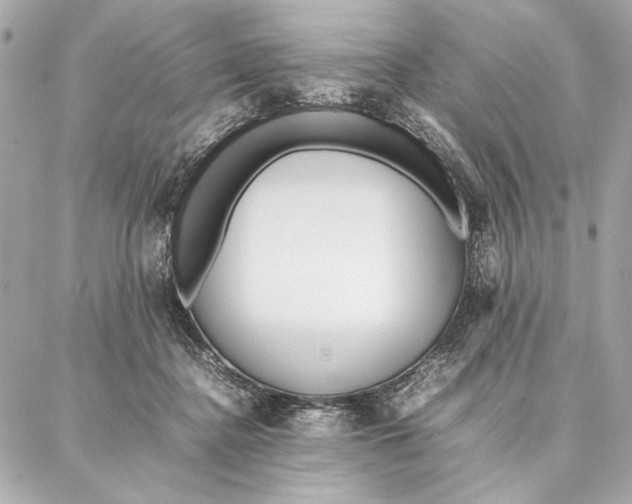 X0000087360364200705111651