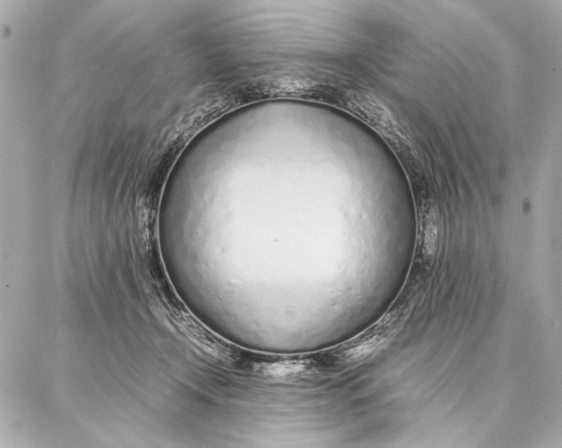 X0000087360366200705111651