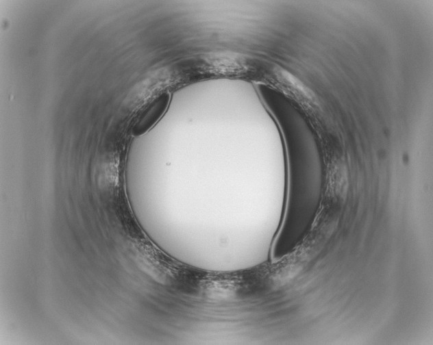 X0000087360368200705111651