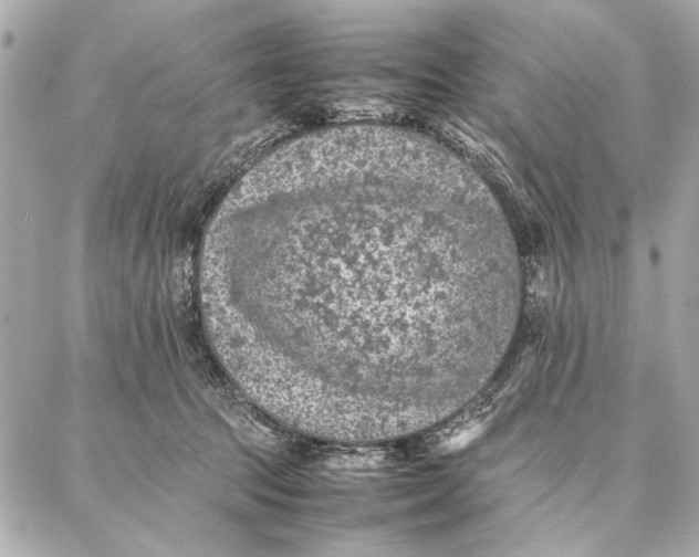 X0000087360369200705111651