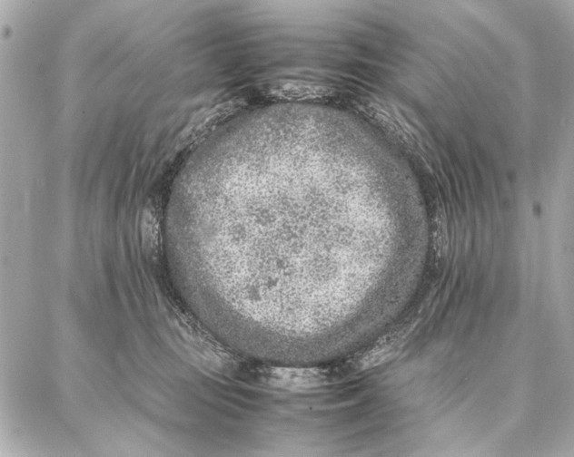 X0000087360371200705111651