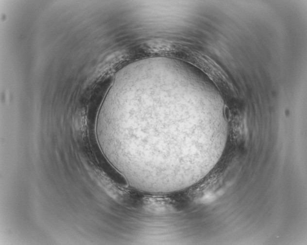 X0000087360372200705111651