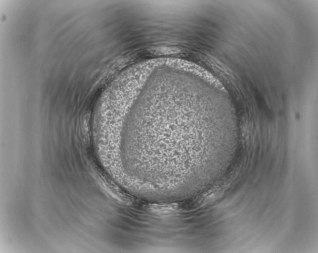 X0000087360373200705111651