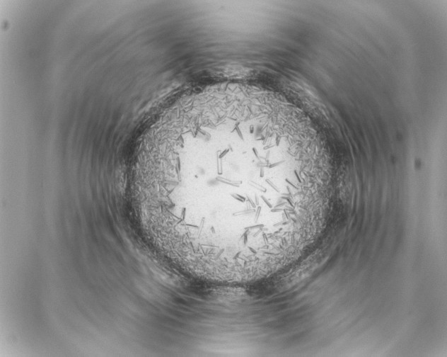 X0000087360374200705111651