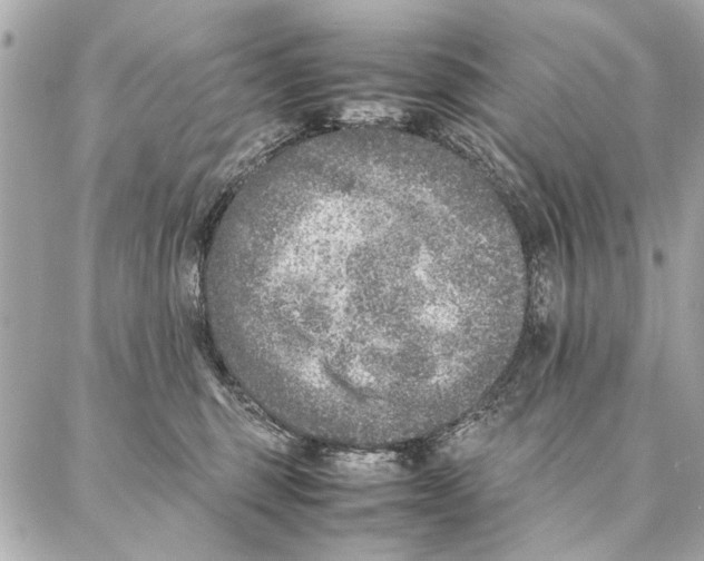 X0000087360375200705111651