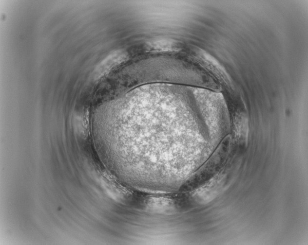 X0000087360376200705111651