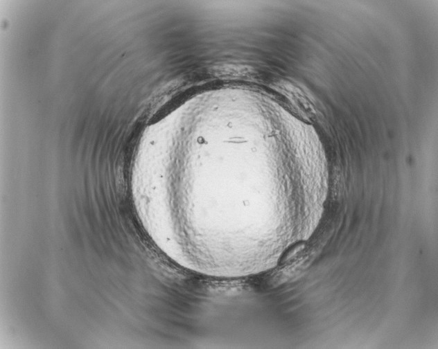 X0000087360377200705111651