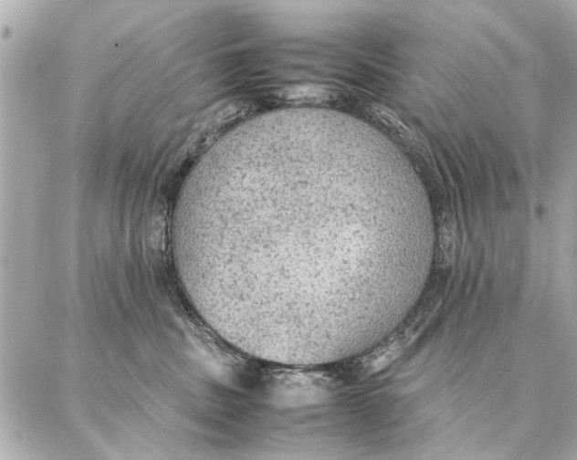 X0000087360379200705111651