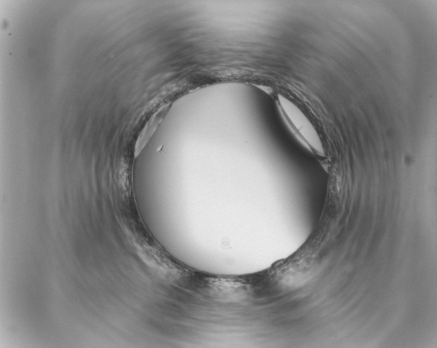 X0000087360380200705111651