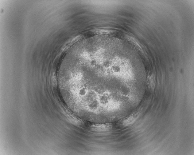 X0000087360381200705111651