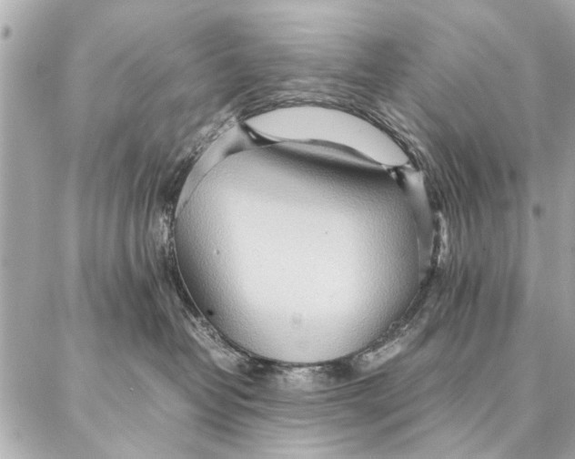 X0000087360382200705111651