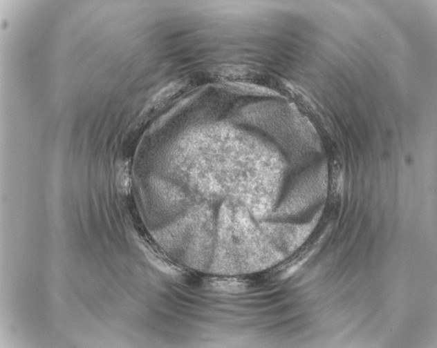 X0000087360383200705111651