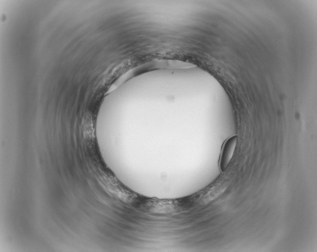 X0000087360384200705111651