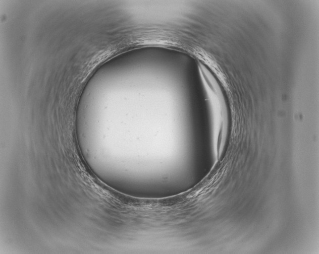 X0000087360385200705111650