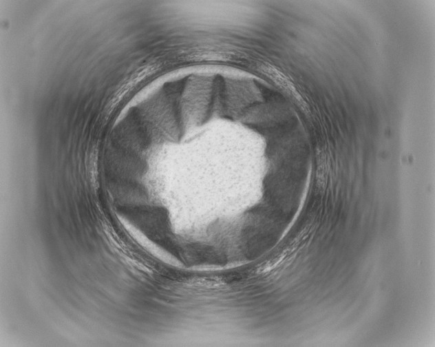 X0000087360386200705111650