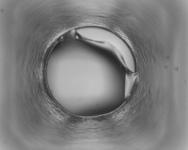 X0000087360387200705111650