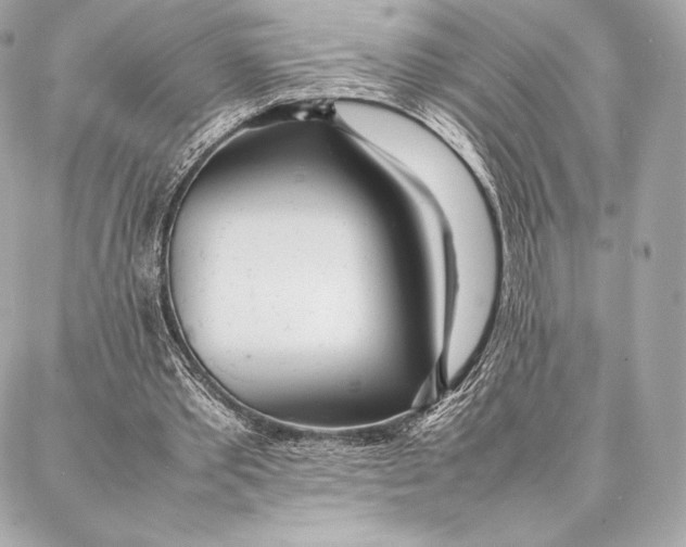 X0000087360389200705111650