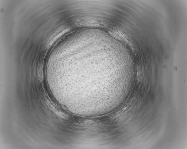 X0000087360390200705111650