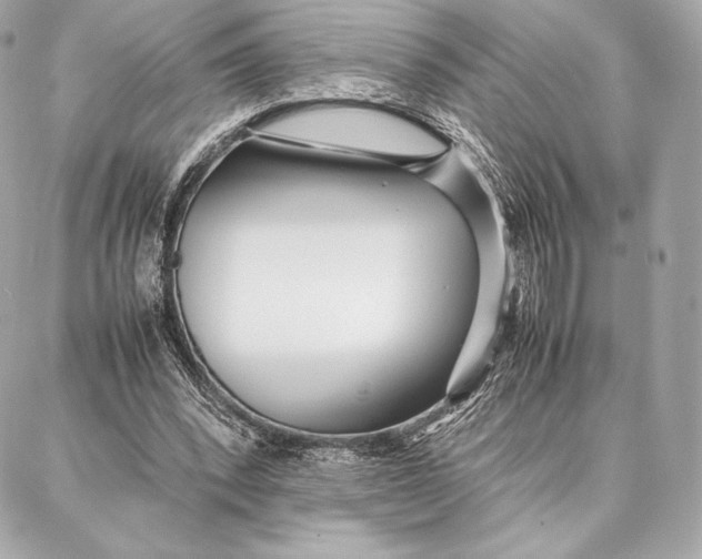 X0000087360392200705111650