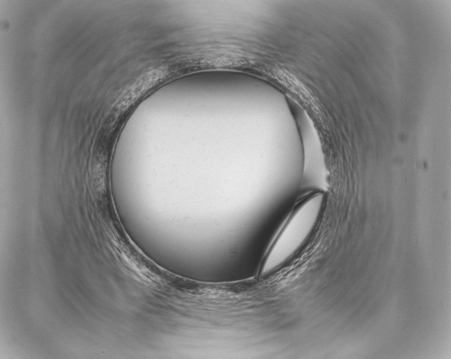 X0000087360393200705111650