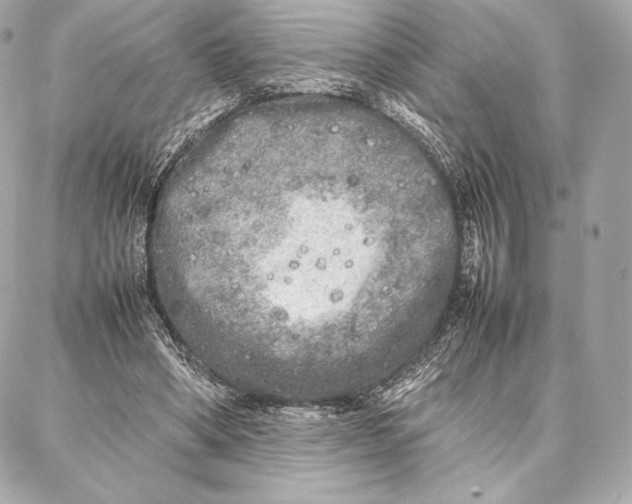 X0000087360394200705111650