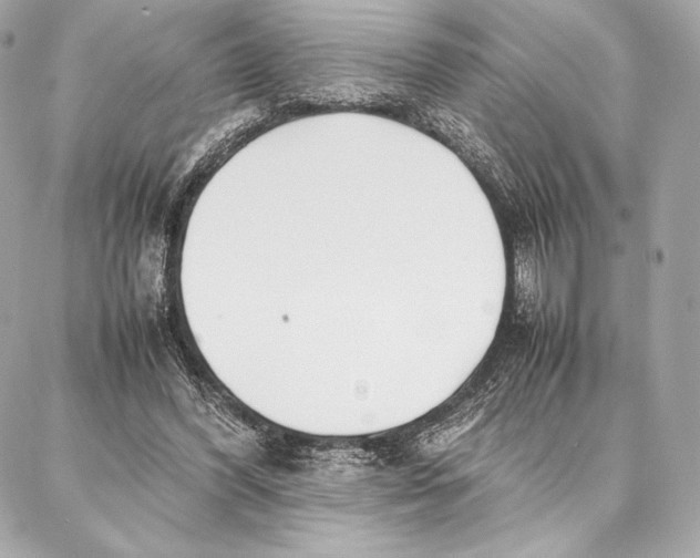 X0000087360396200705111650