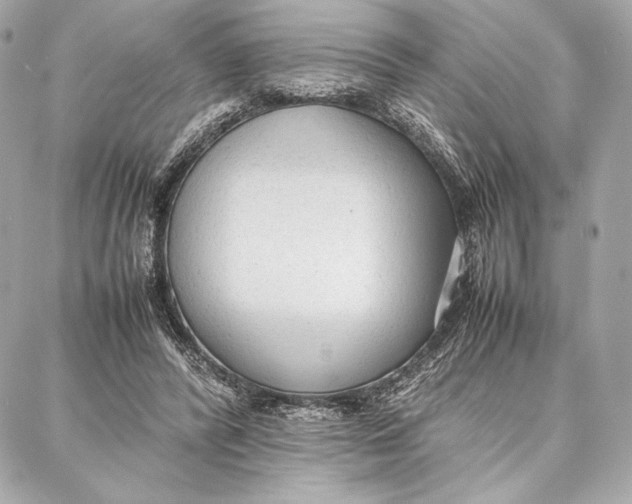 X0000087360400200705111650