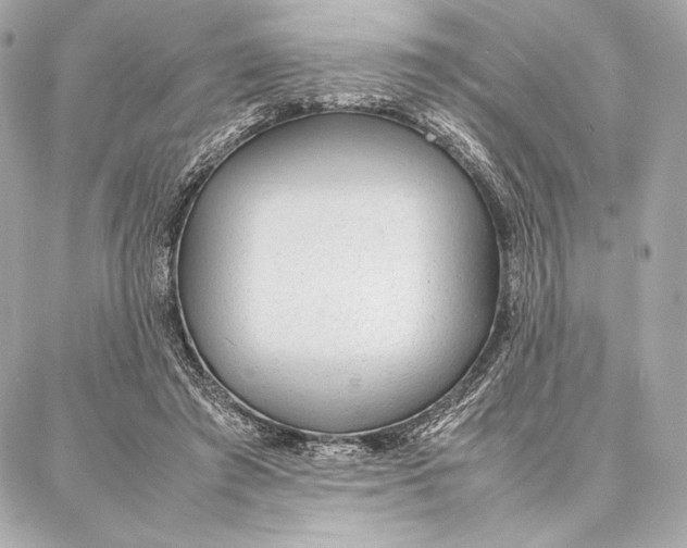 X0000087360401200705111650