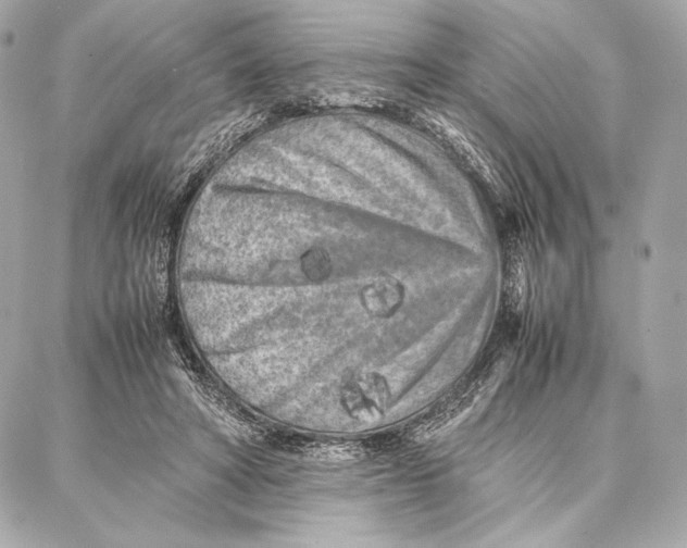 X0000087360402200705111650