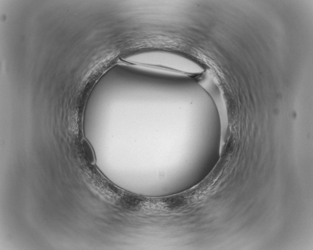 X0000087360403200705111650