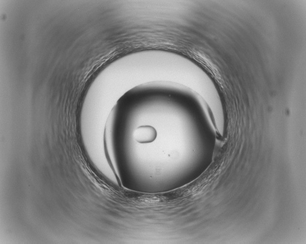 X0000087360405200705111650