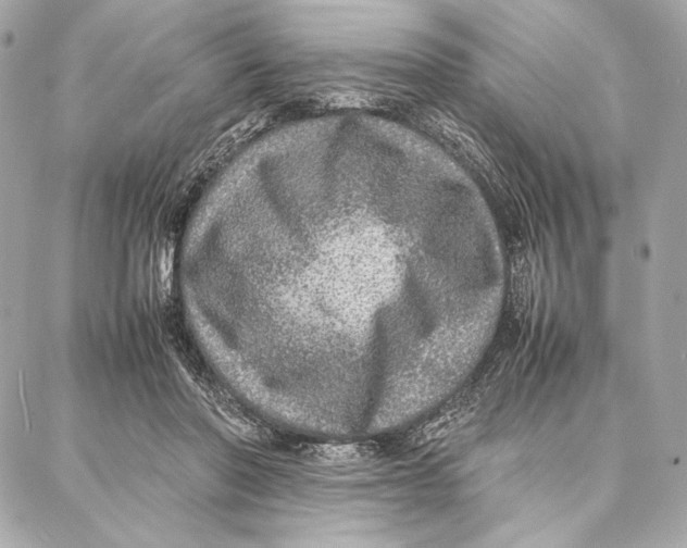 X0000087360406200705111650