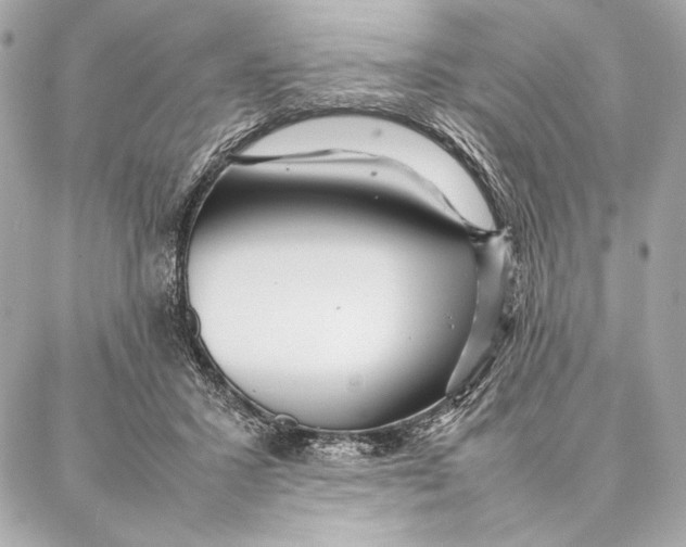 X0000087360407200705111650