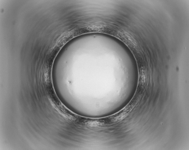 X0000087360408200705111650