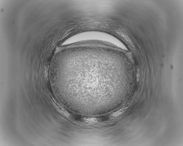 X0000087360409200705111650