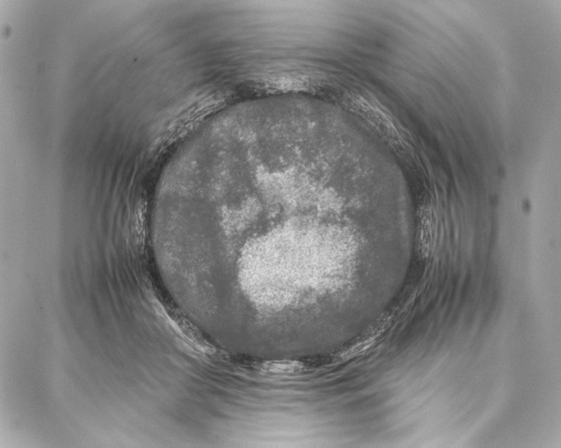 X0000087360410200705111650