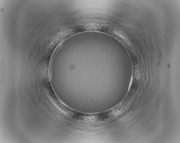 X0000087360411200705111650