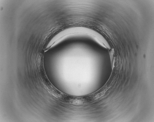 X0000087360412200705111650