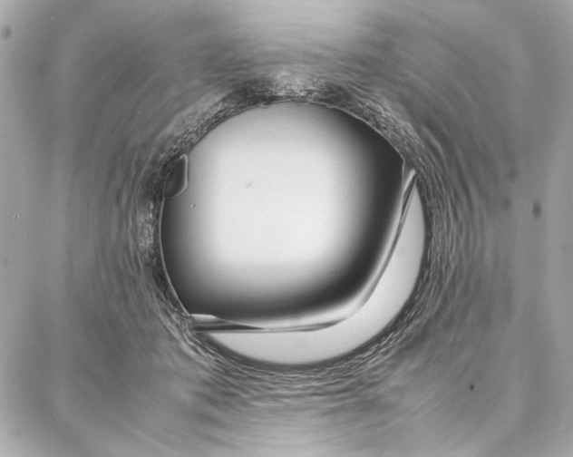 X0000087360413200705111650