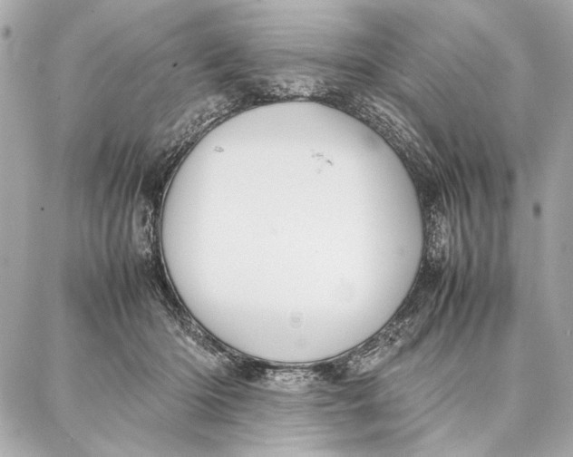 X0000087360414200705111650